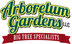 Arboretum Gardens, LLC - New Jersey Large Trees in NJ